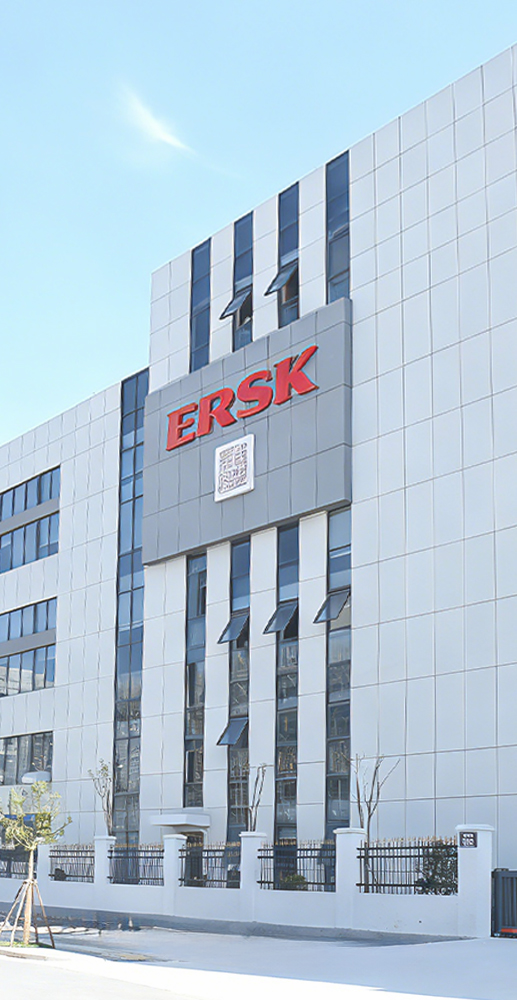 Maquinaria de precisión Lishui Wangong Co., Ltd.